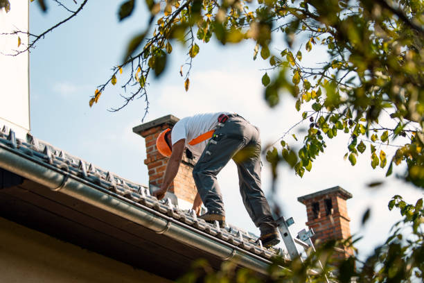 Best Metal Roofing Contractor  in Goulding, FL