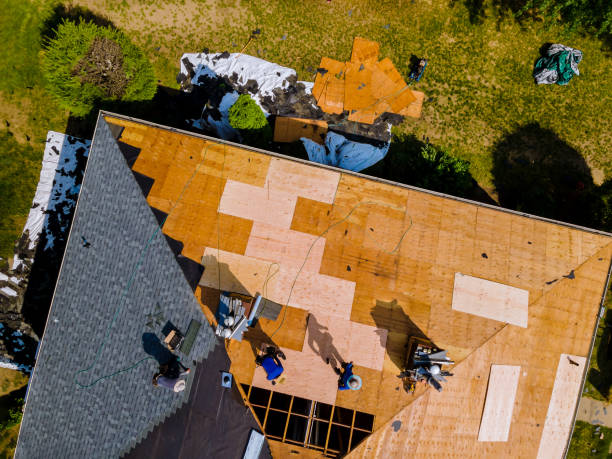 Best Storm Damage Roof Repair  in Goulding, FL